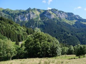 Превью обои горы, вершины, деревья, пейзаж