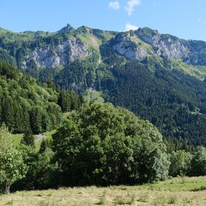 Превью обои горы, вершины, деревья, пейзаж