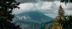 Превью обои горы, вершины, ель, ветки, небо