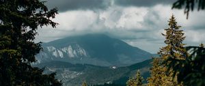Превью обои горы, вершины, ель, ветки, небо