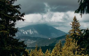 Превью обои горы, вершины, ель, ветки, небо