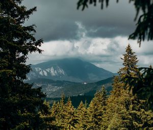 Превью обои горы, вершины, ель, ветки, небо