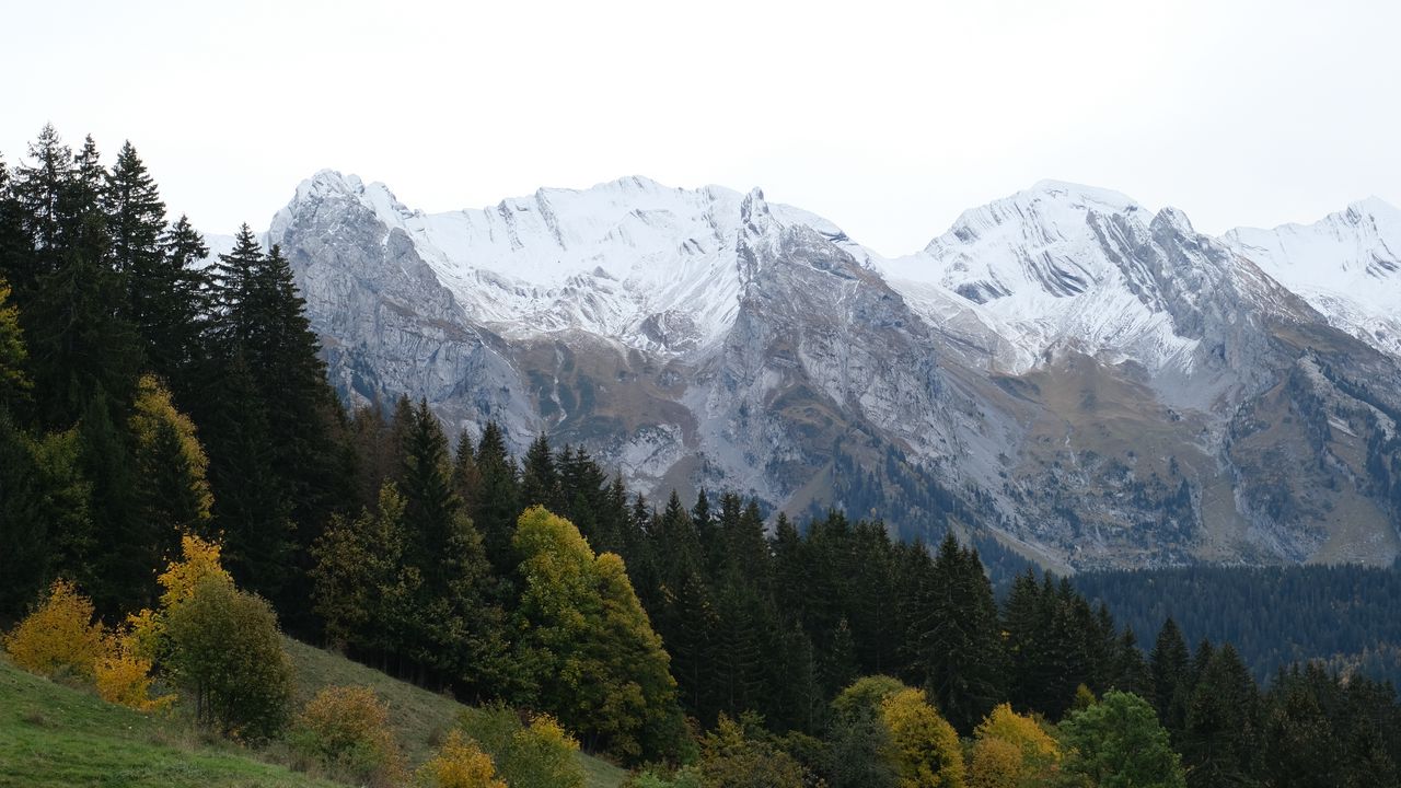 Обои горы, вершины, пейзаж, снег, деревья, склон