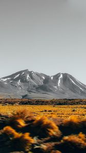 Превью обои горы, вершины, пейзаж, кусты, камни