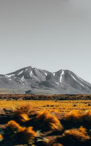 Превью обои горы, вершины, пейзаж, кусты, камни