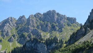 Превью обои горы, вершины, рельеф, деревья, пейзаж, природа