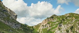 Превью обои горы, вершины, скалы, ель, трава