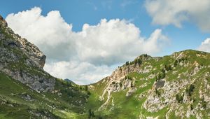 Превью обои горы, вершины, скалы, ель, трава