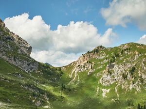 Превью обои горы, вершины, скалы, ель, трава