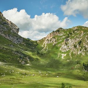 Превью обои горы, вершины, скалы, ель, трава