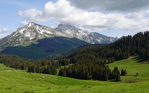 Превью обои горы, вершины, снег, заснеженный, деревья