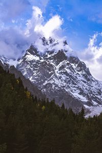 Превью обои горы, вершины, снег, заснеженный, склон, деревья