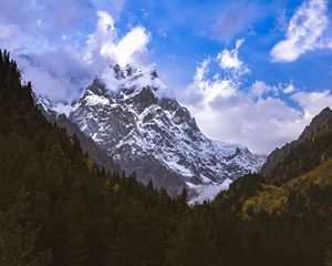 Превью обои горы, вершины, снег, заснеженный, склон, деревья