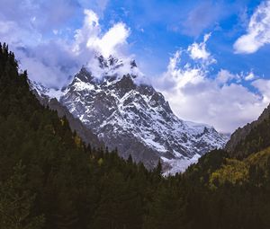 Превью обои горы, вершины, снег, заснеженный, склон, деревья