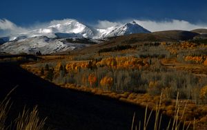 Превью обои горы, вершины, снег, заснеженный, деревья, пейзаж