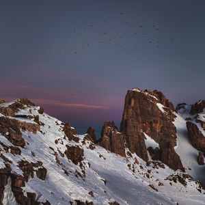 Превью обои горы, вершины, снежный, птицы