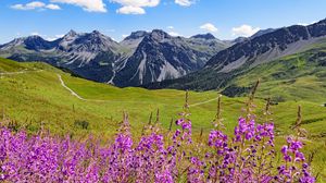 Превью обои горы, вершины, цветы, полевые цветы, пейзаж