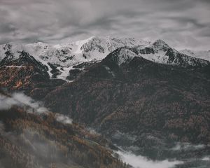 Превью обои горы, вид сверху, туман, деревья, небо, вершины