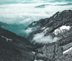Превью обои горы, вид сверху, туман, деревья, заснеженный