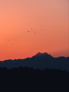 Превью обои горы, закат, очертания, птицы