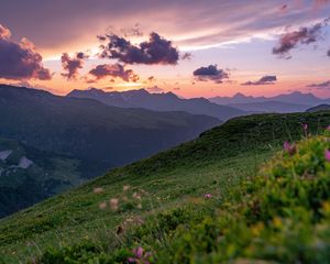 Превью обои горы, закат, пейзаж, склоны, трава, цветы