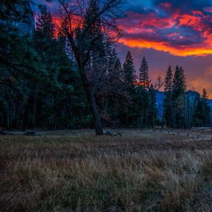 Превью обои горы, закат, вечер, трава, деревья