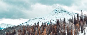 Превью обои горы, заснеженный, деревья