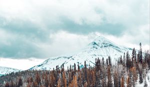 Превью обои горы, заснеженный, деревья