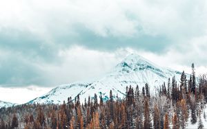 Превью обои горы, заснеженный, деревья