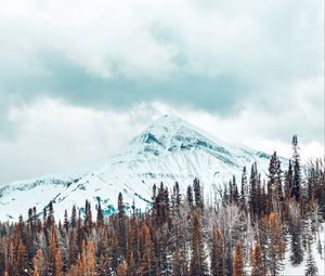 Превью обои горы, заснеженный, деревья