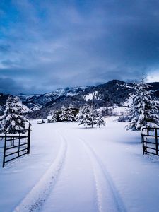 Превью обои горы, зима, снег, деревья