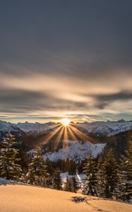 Превью обои горы, зима, снег, солнечный свет, ели