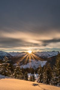 Превью обои горы, зима, снег, солнечный свет, ели