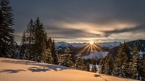 Превью обои горы, зима, снег, солнечный свет, ели