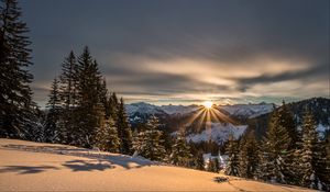 Превью обои горы, зима, снег, солнечный свет, ели