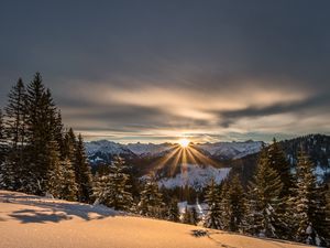 Превью обои горы, зима, снег, солнечный свет, ели