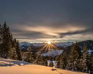 Превью обои горы, зима, снег, солнечный свет, ели