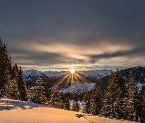 Превью обои горы, зима, снег, солнечный свет, ели