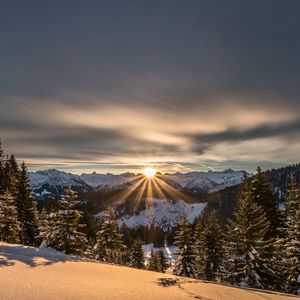 Превью обои горы, зима, снег, солнечный свет, ели