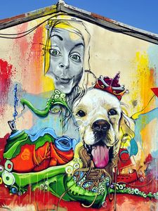 Превью обои граффити, девушка, собака, арт, стрит арт, яркий, разноцветный