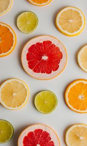 Превью обои грейпфрут, апельсин, лимон, лайм, фрукты, дольки