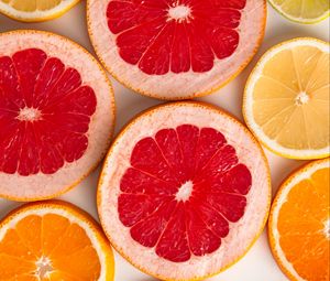 Превью обои грейпфрут, апельсин, лимон, цитрус, фрукты, дольки