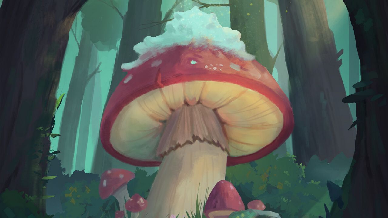 Обои грибы, лес, сказка, арт