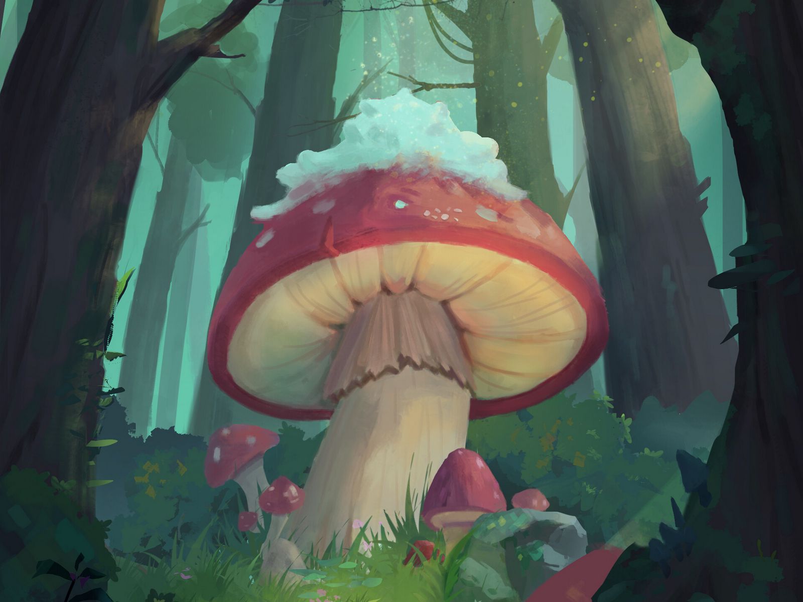 Необычные грибы обои
