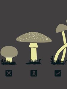 Превью обои грибы, рисунок, разновидность