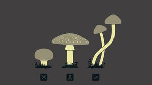 Превью обои грибы, рисунок, разновидность