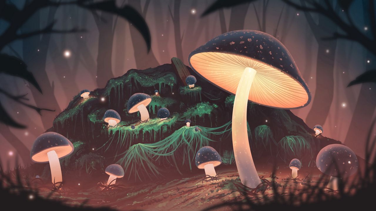 Обои грибы, свечение, свет, лес, арт