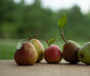 Превью обои груши, фрукты, листья, свежий