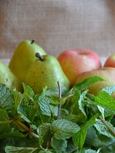 Превью обои груши, яблоки, мята, зелень, свежий