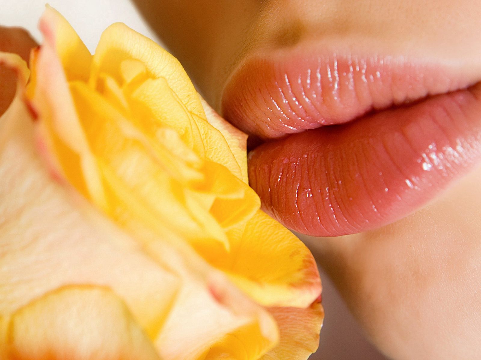 1600x1200 Обои губы, цветок, желтый, розовый, нежность